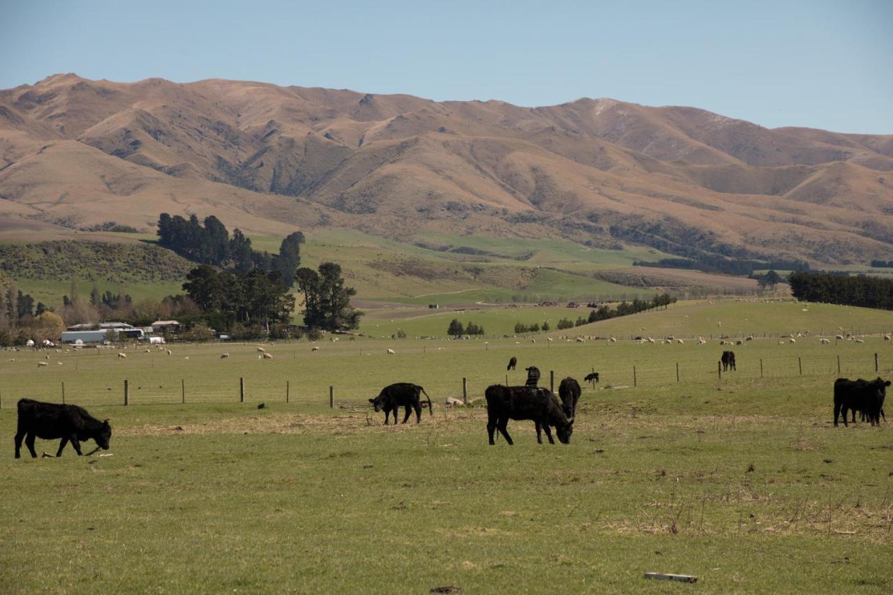 Shearvue Farmstay With Optional Free Farm Experience At 5Pm Fairlie Exterior foto